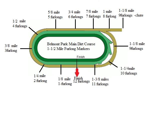 Jockey World Track Diagram